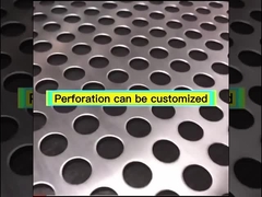 Plat perforé de feuille d'écran de grillage d'acier inoxydable en métal